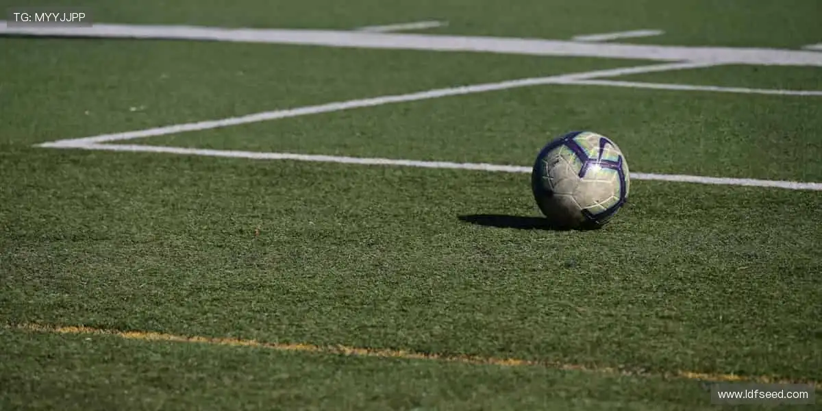 📱🎥 实时追踪，高清无死角！